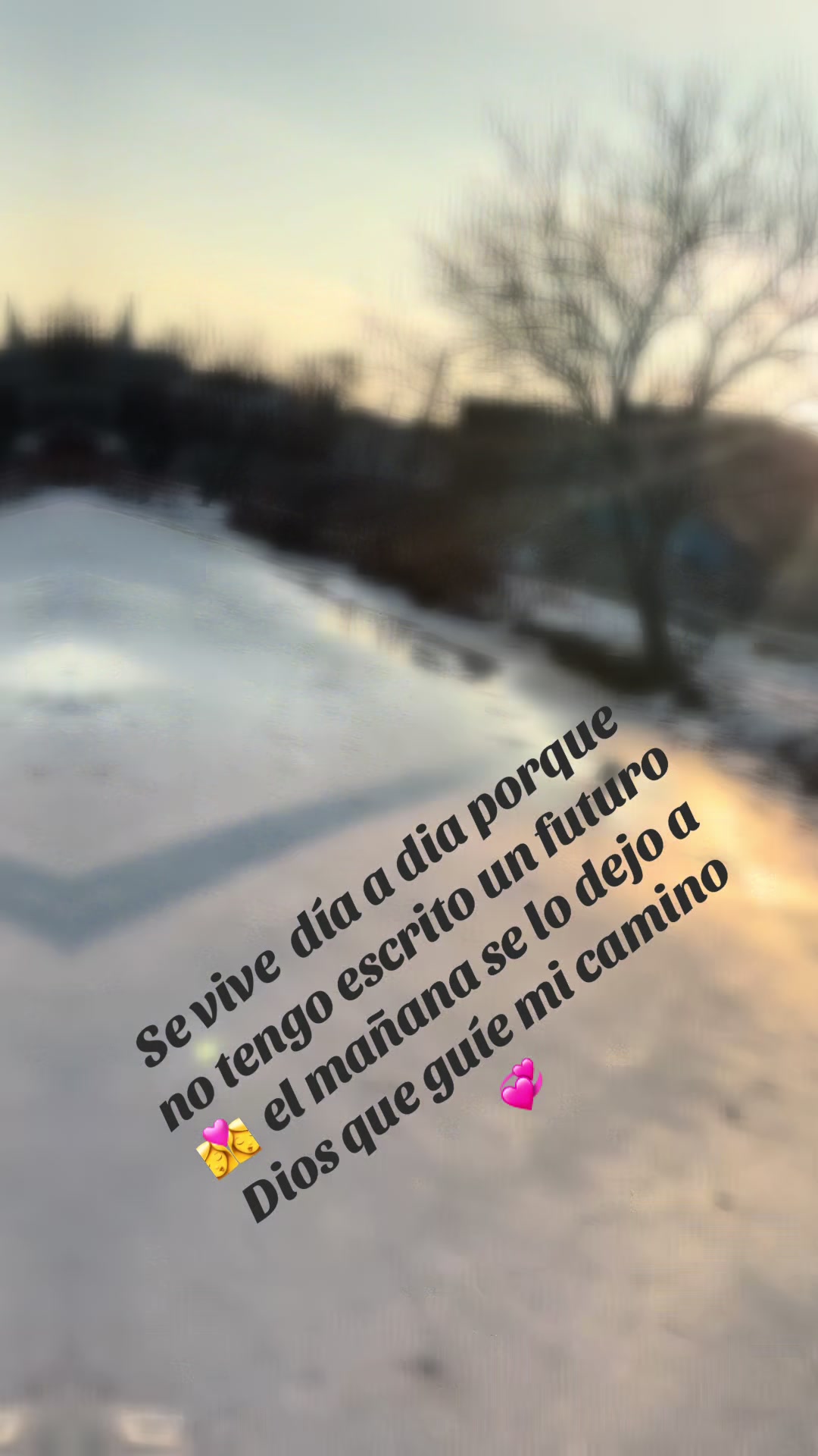 @alejandrita😍😍