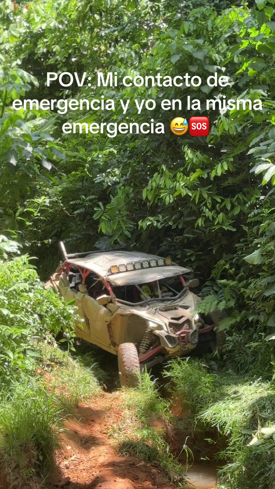 @alexferei