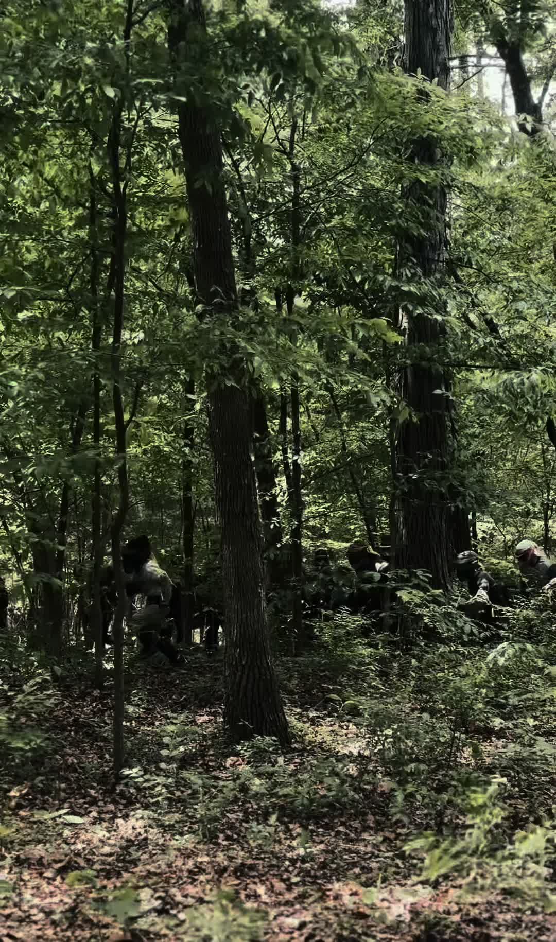 @Insane Paintball / Airsoft