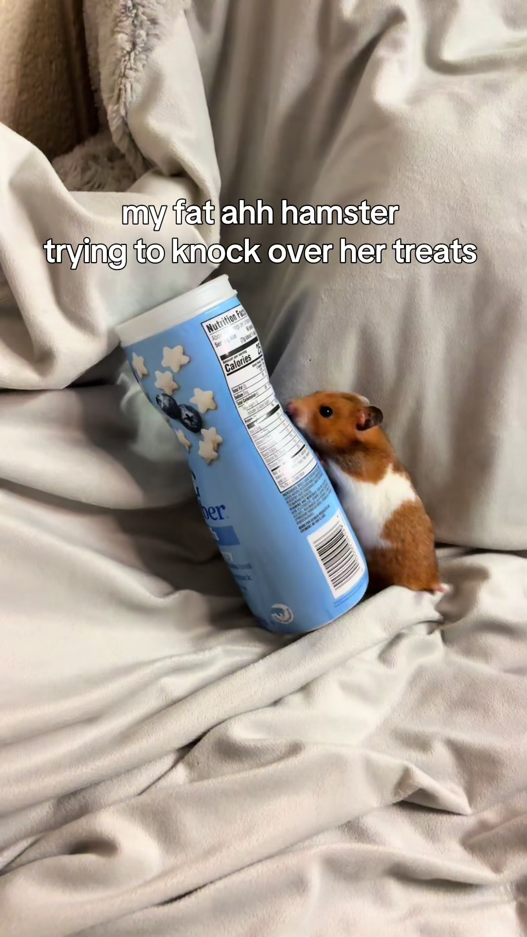 @thatweirdanimalgirl