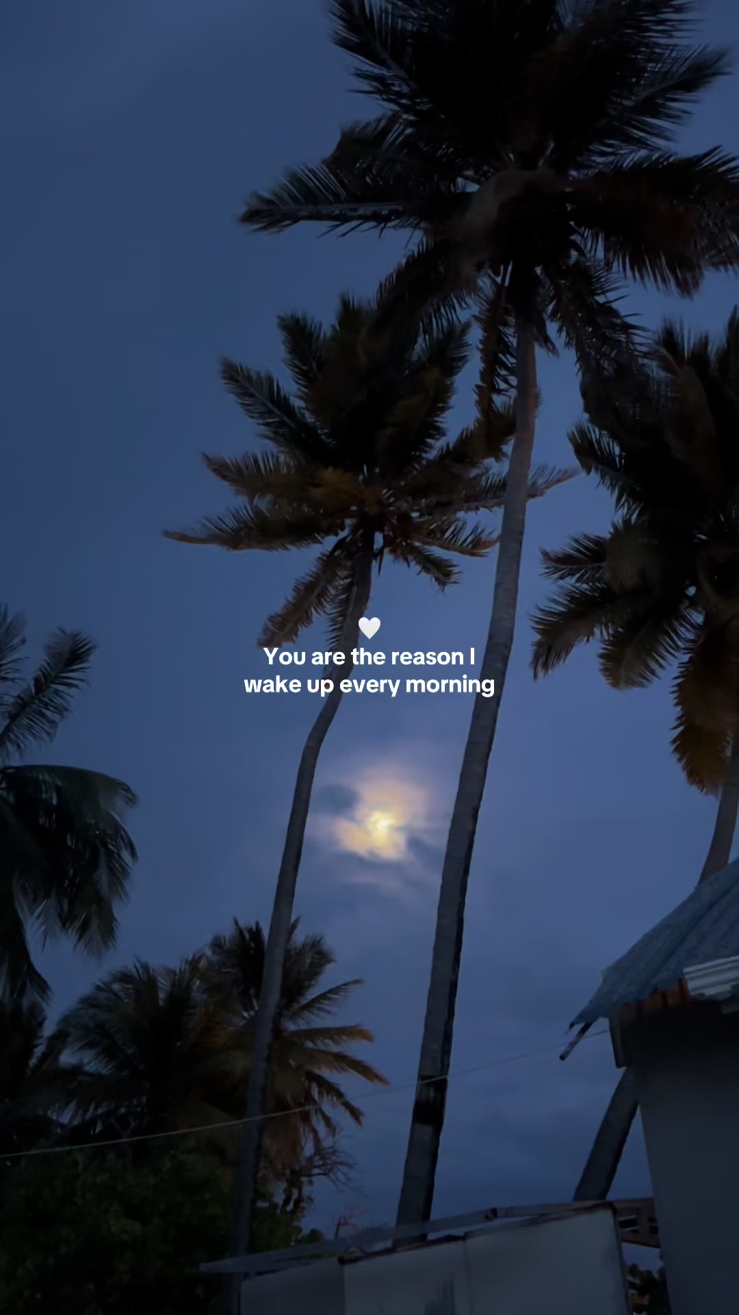 @dul