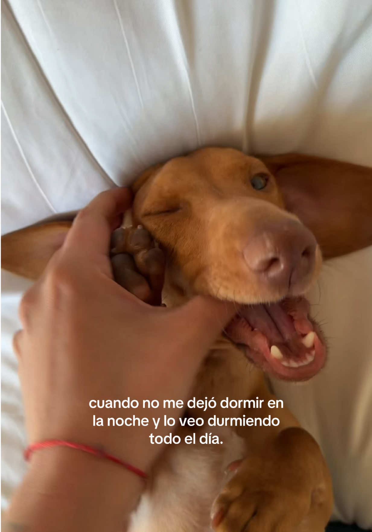 @TOTI