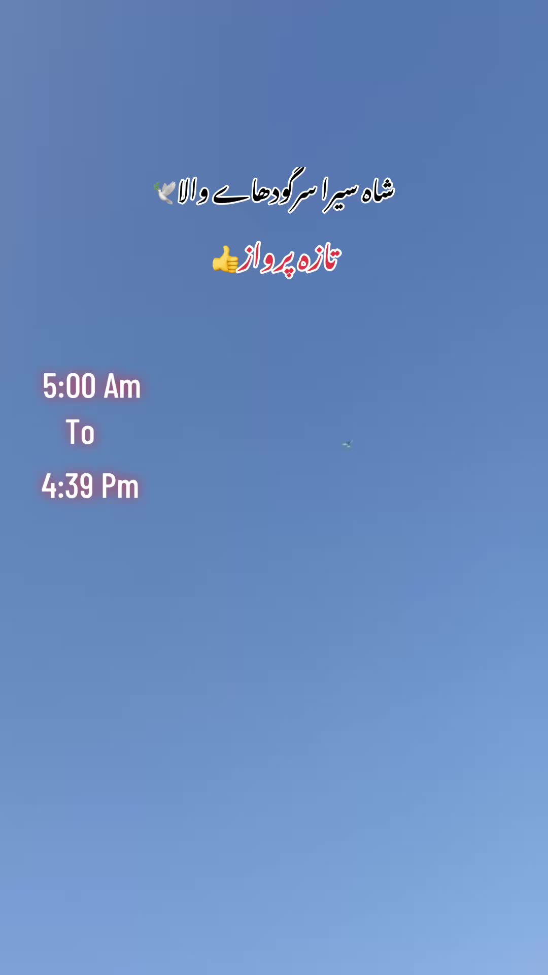 @꧁ᴹ꧍ujeeb ꧂: Khan522