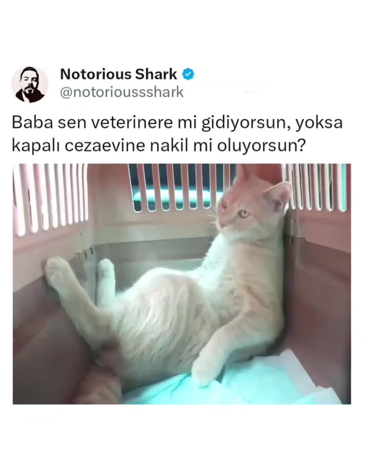 @Kader