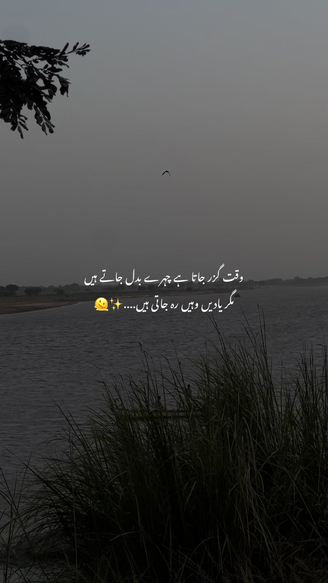@🌸~