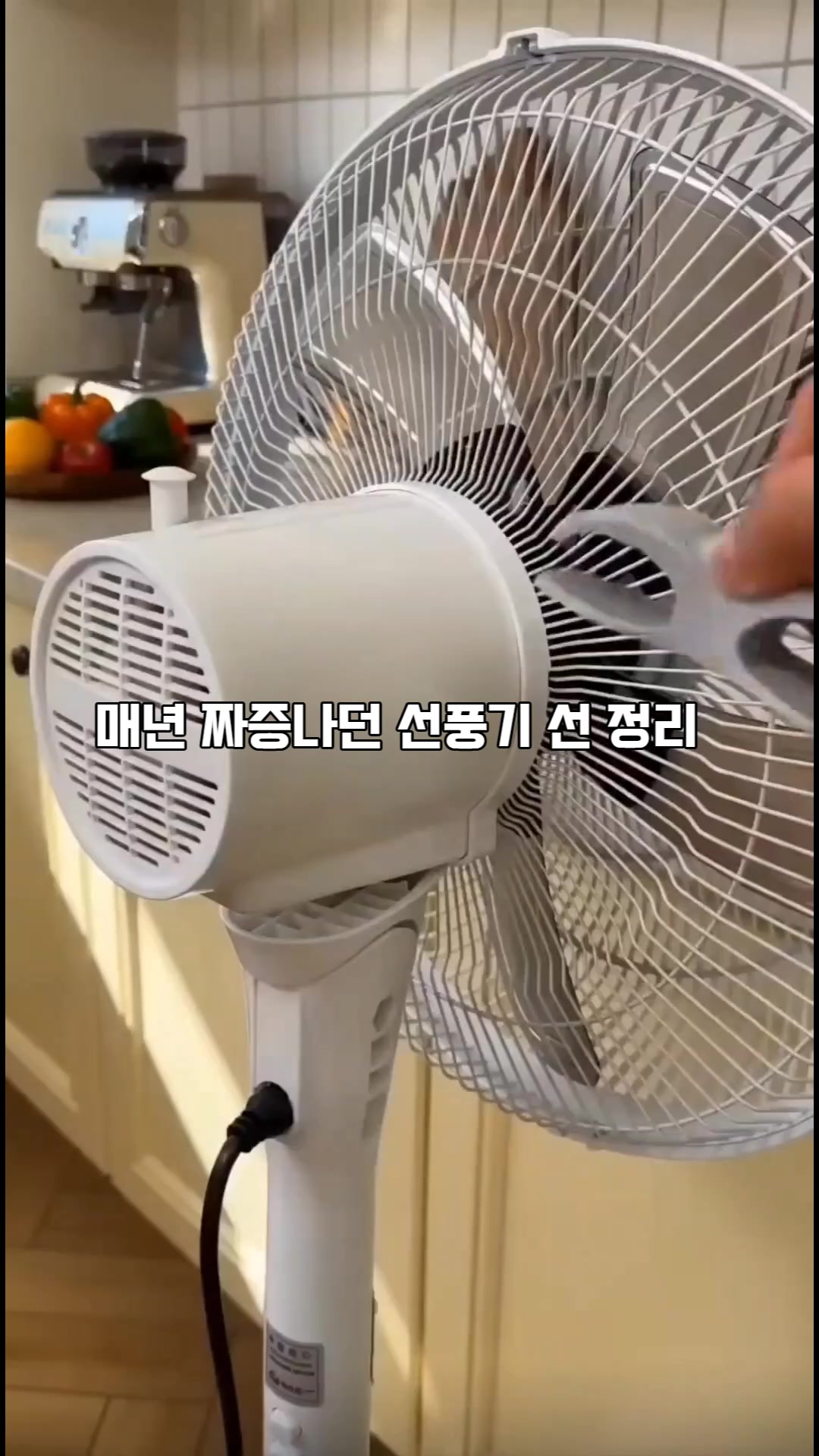 @๐โ๏ธ ์ ํ๋ณด๊ธฐ ํด๋ฆญ โ๏ธ