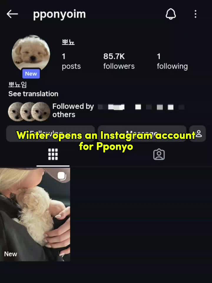 @vinjeongie