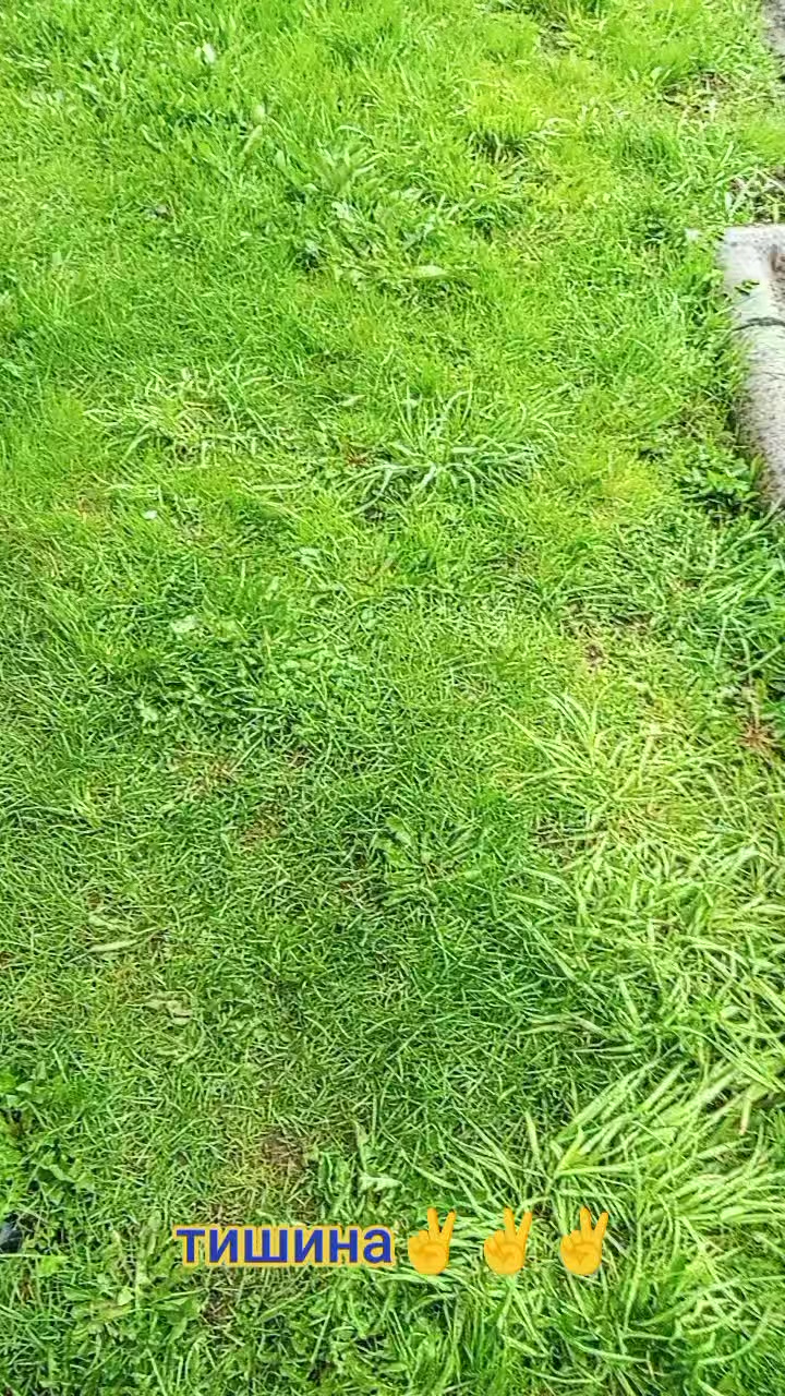 @Женечка