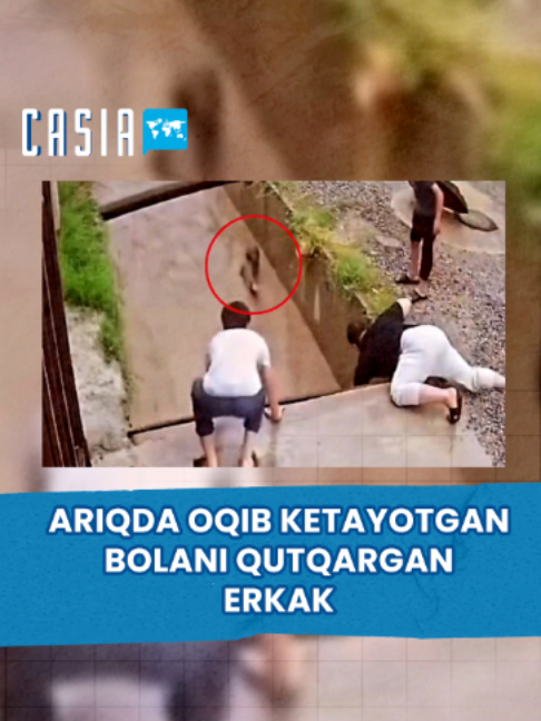 @Casia