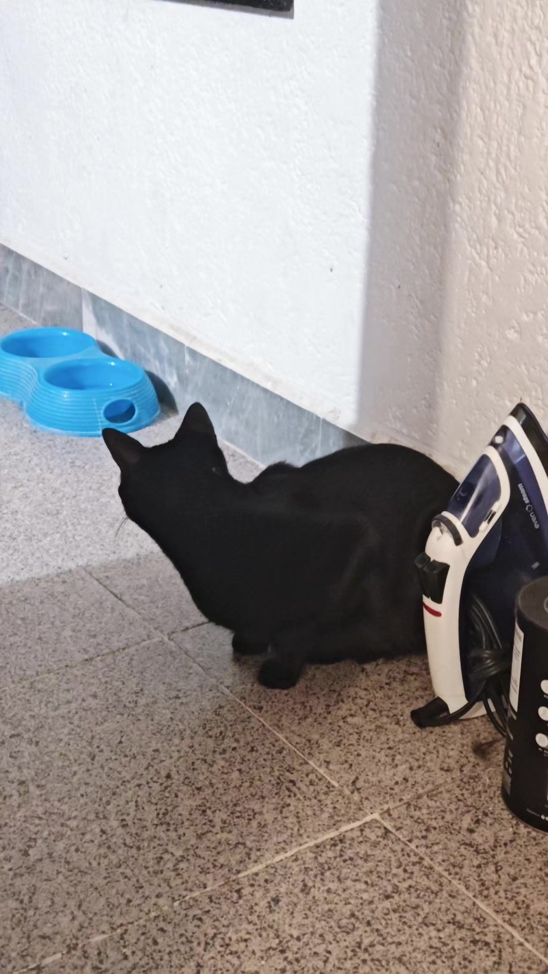 @LeztI 😻😺😽💕