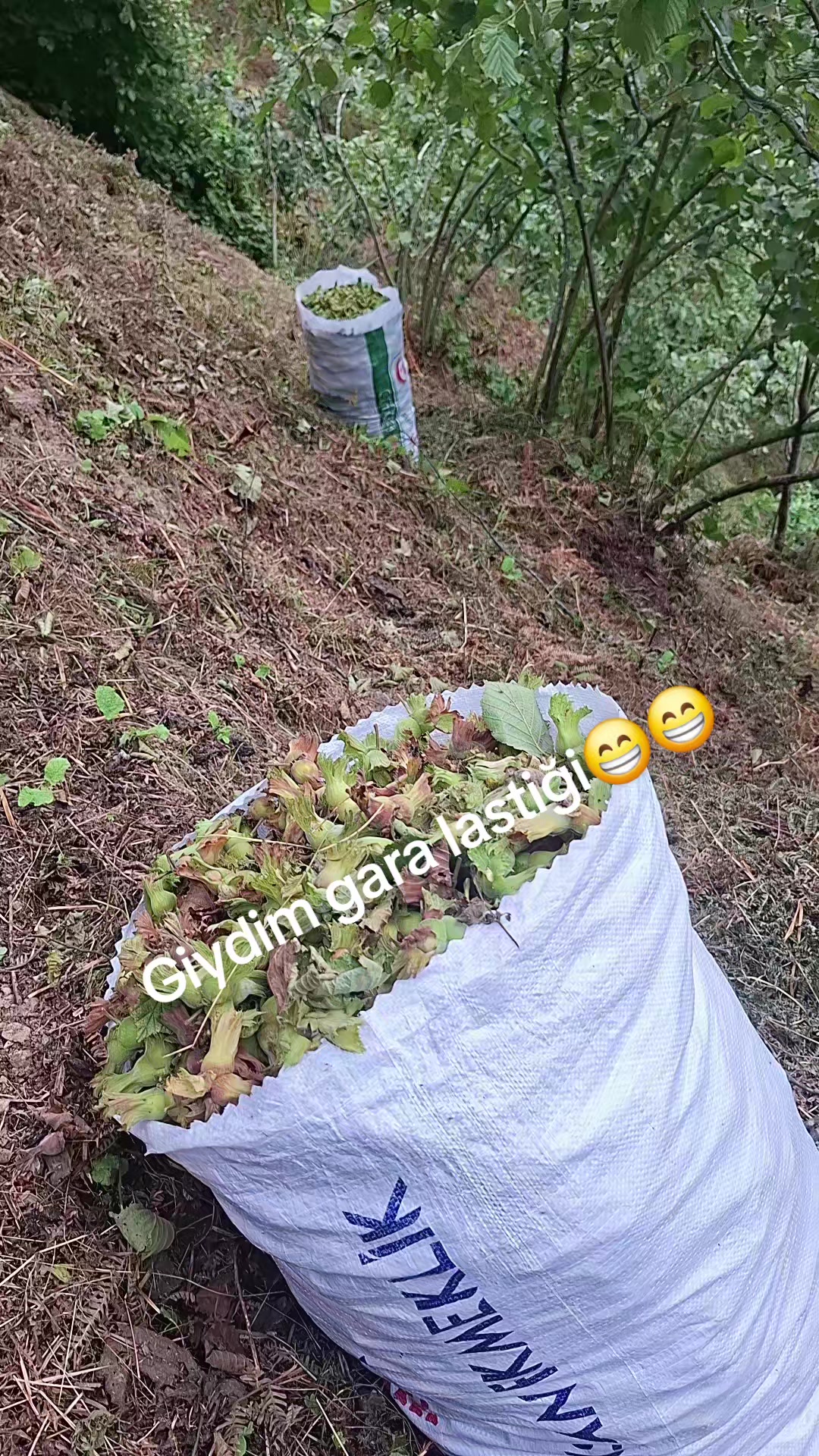@KorKut_28