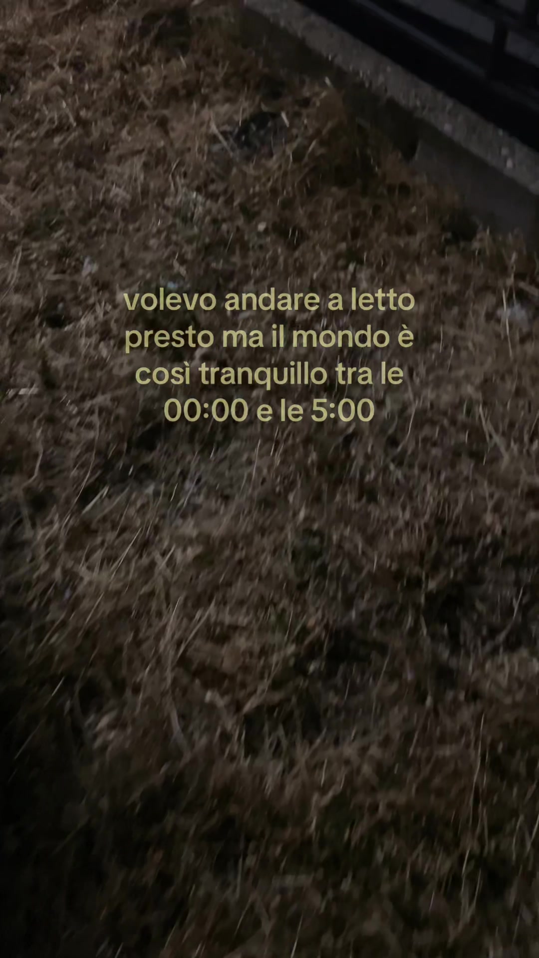 @arianna