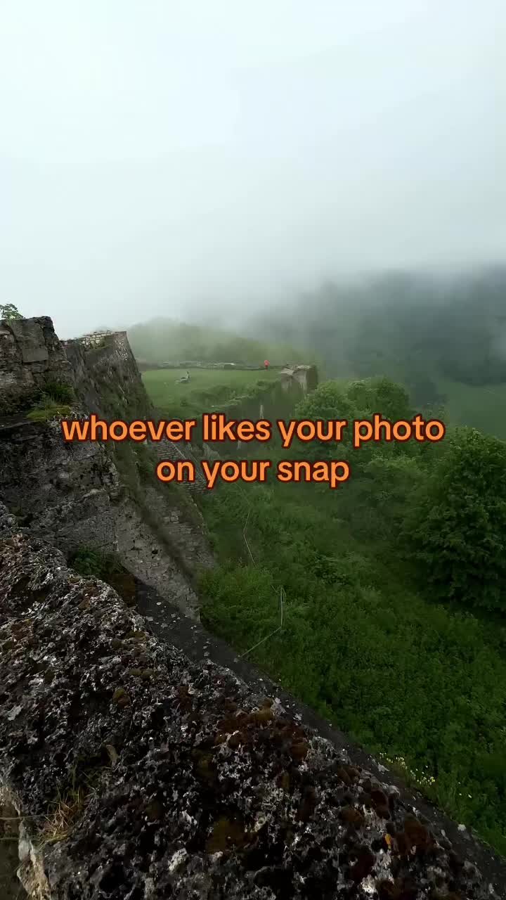@Haley