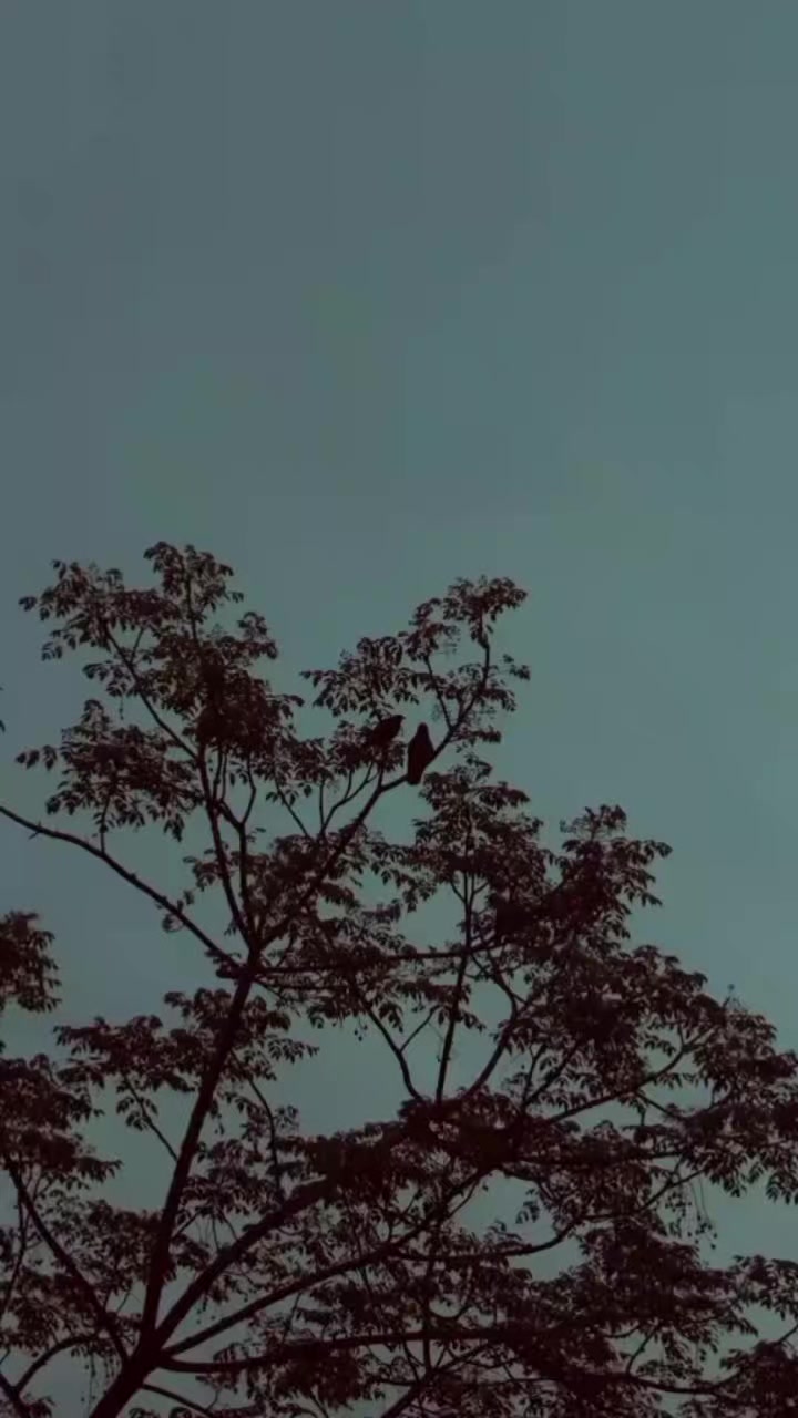 @Death.!