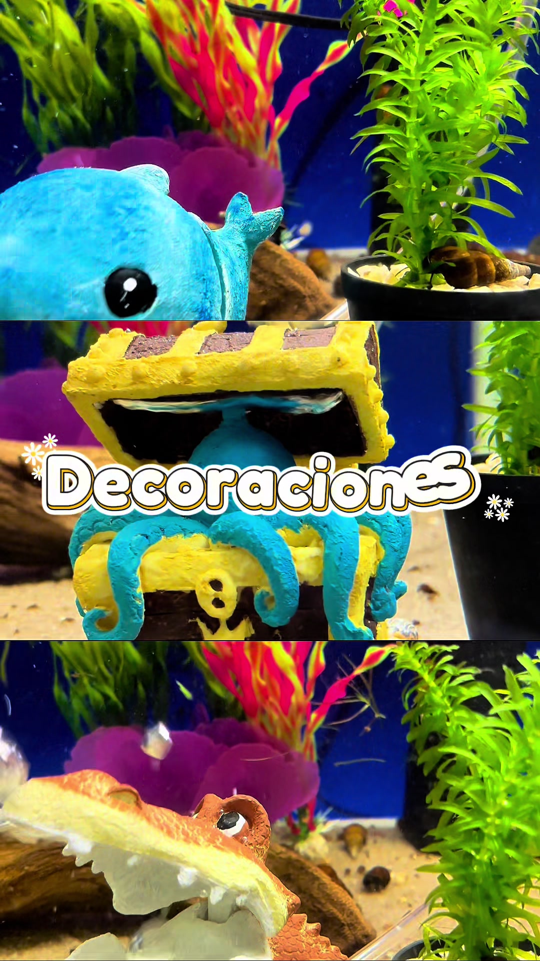 @Acuario Fish Lovers