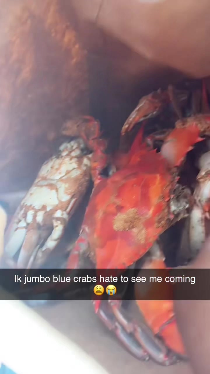 @Jamarah