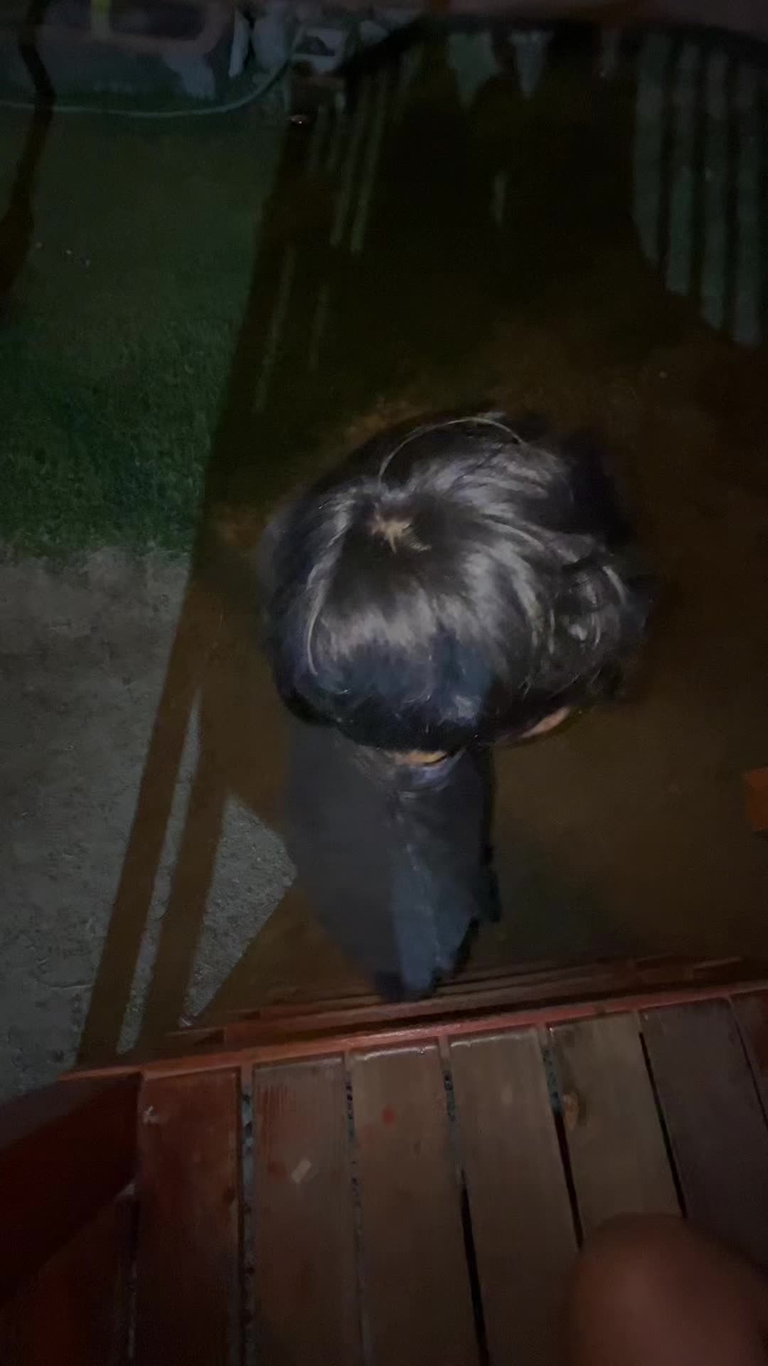 @𝑹𝒂𝒊𝒅𝒆𝒏~