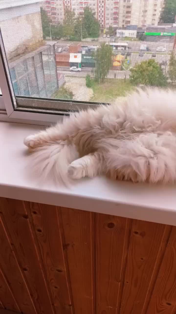 @Юлия Кит