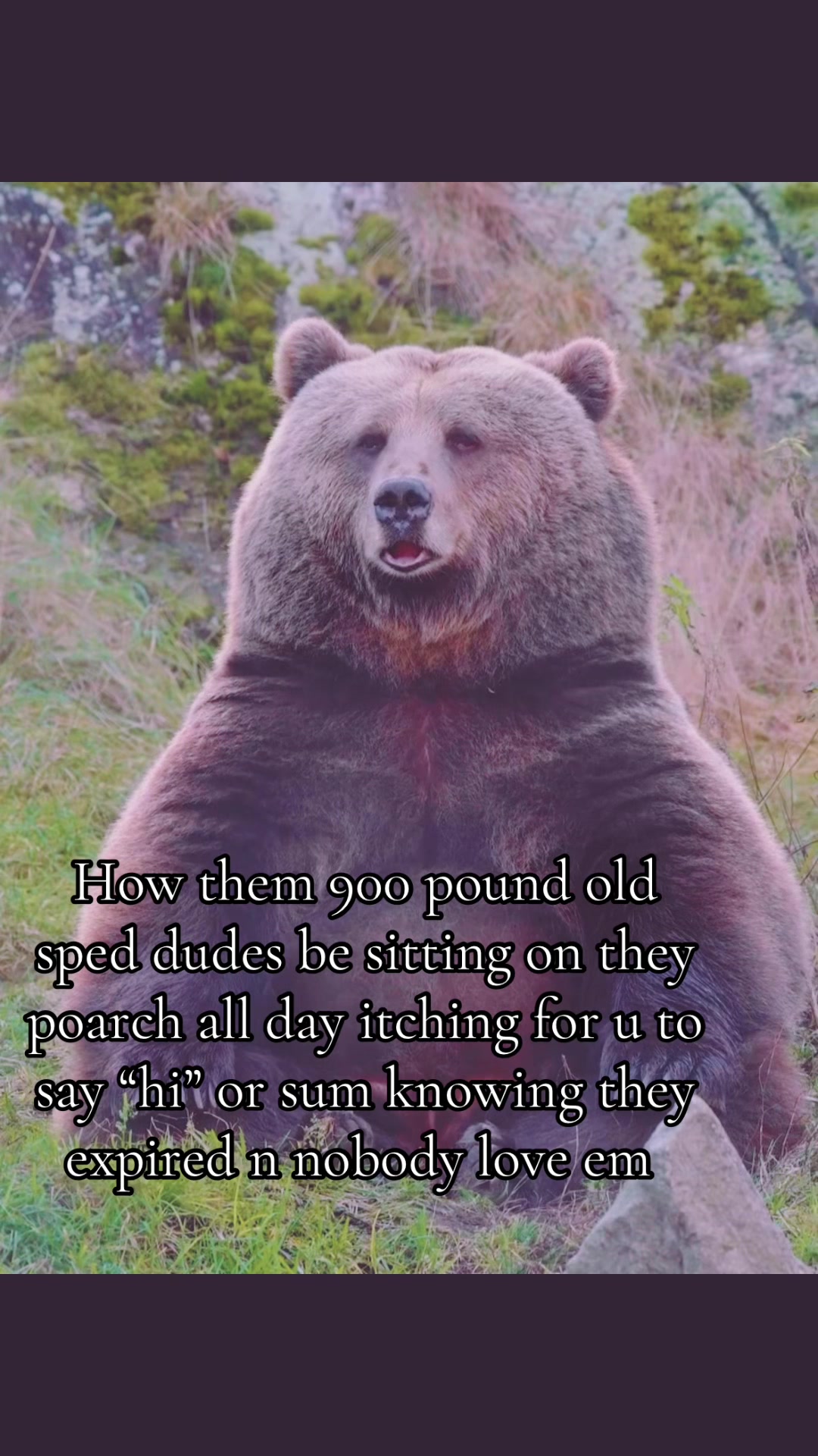 @Gilpetperdon