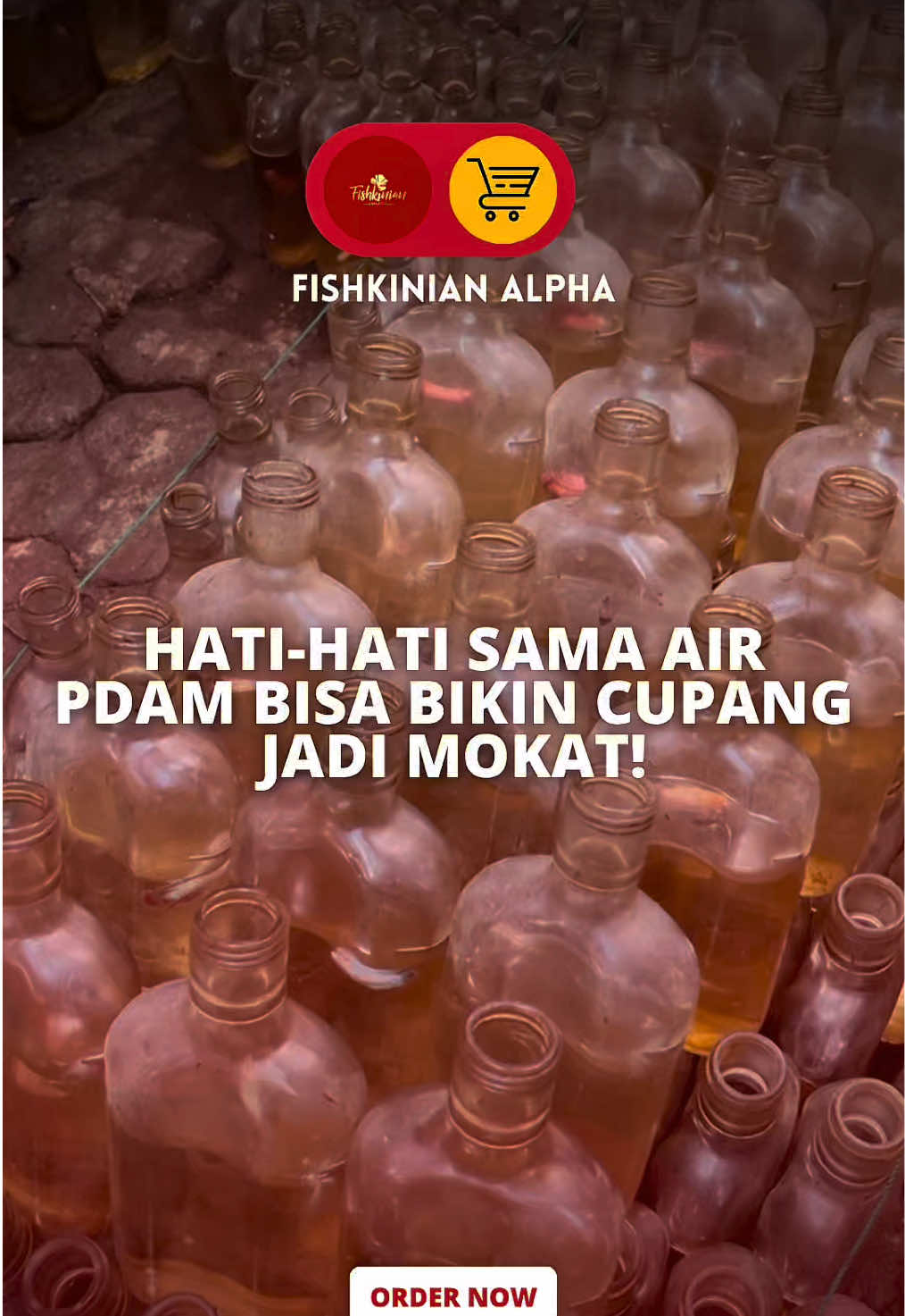 @Fishkinian Alpha1