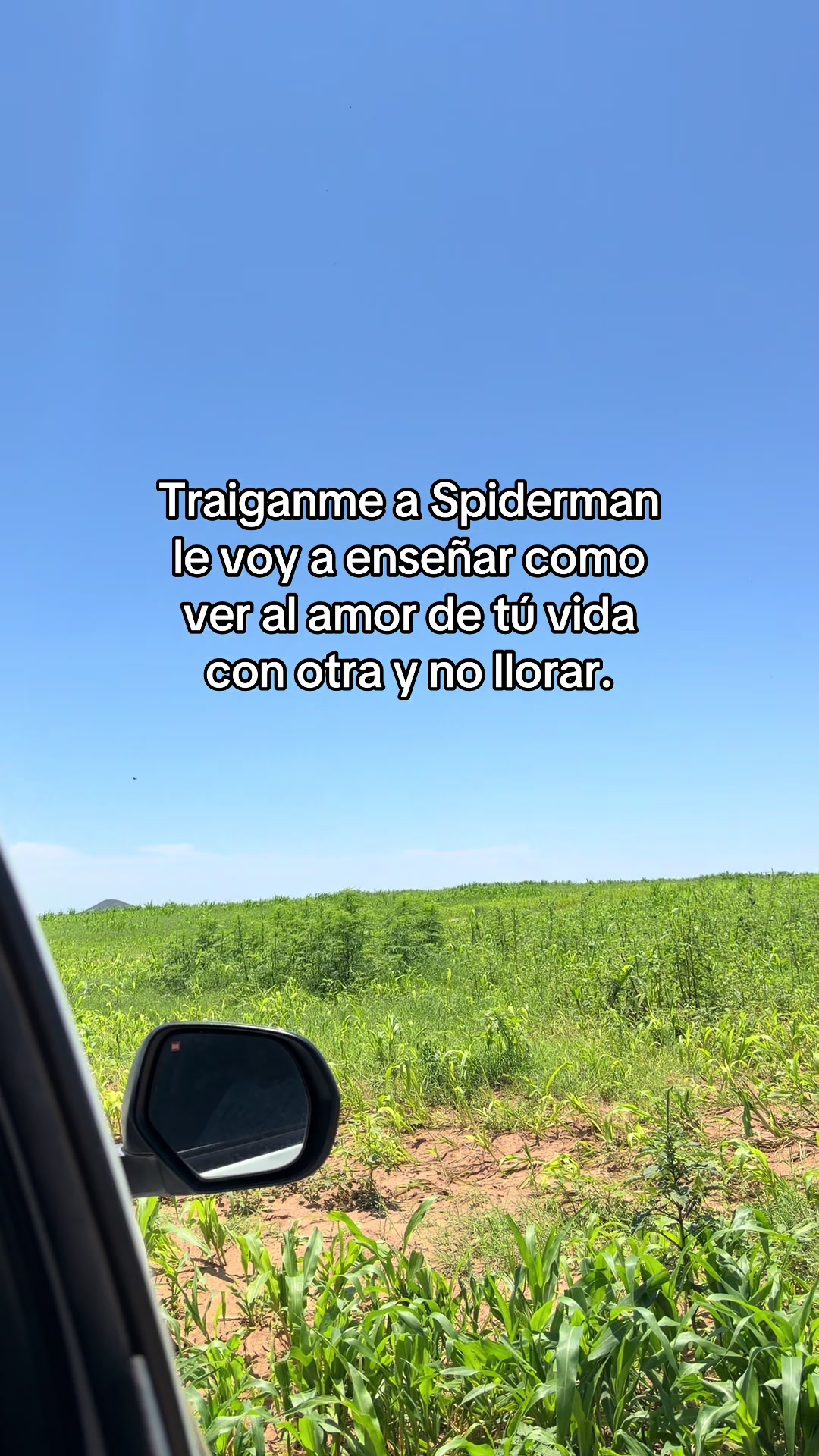 @Mis