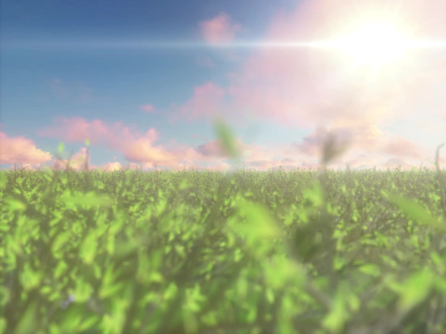 @𝐒𝐘𝐙𝐍
