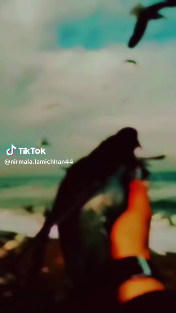 @Rahul Kamble