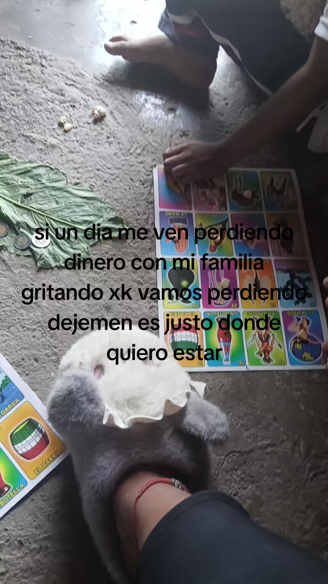 @Lucy