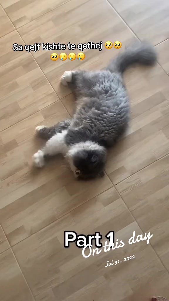 @Official_Whisky