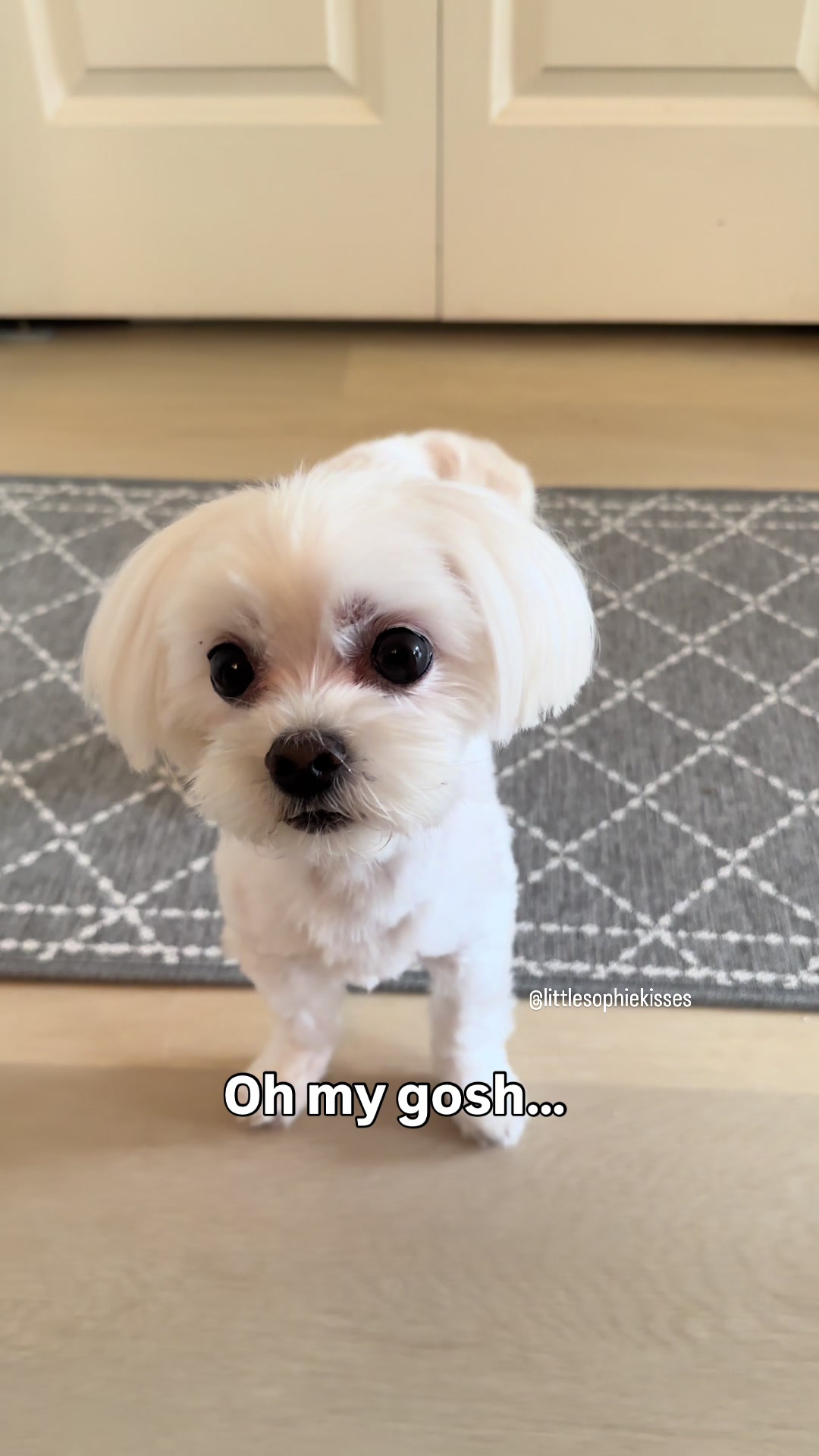 @Little Sophie kisses