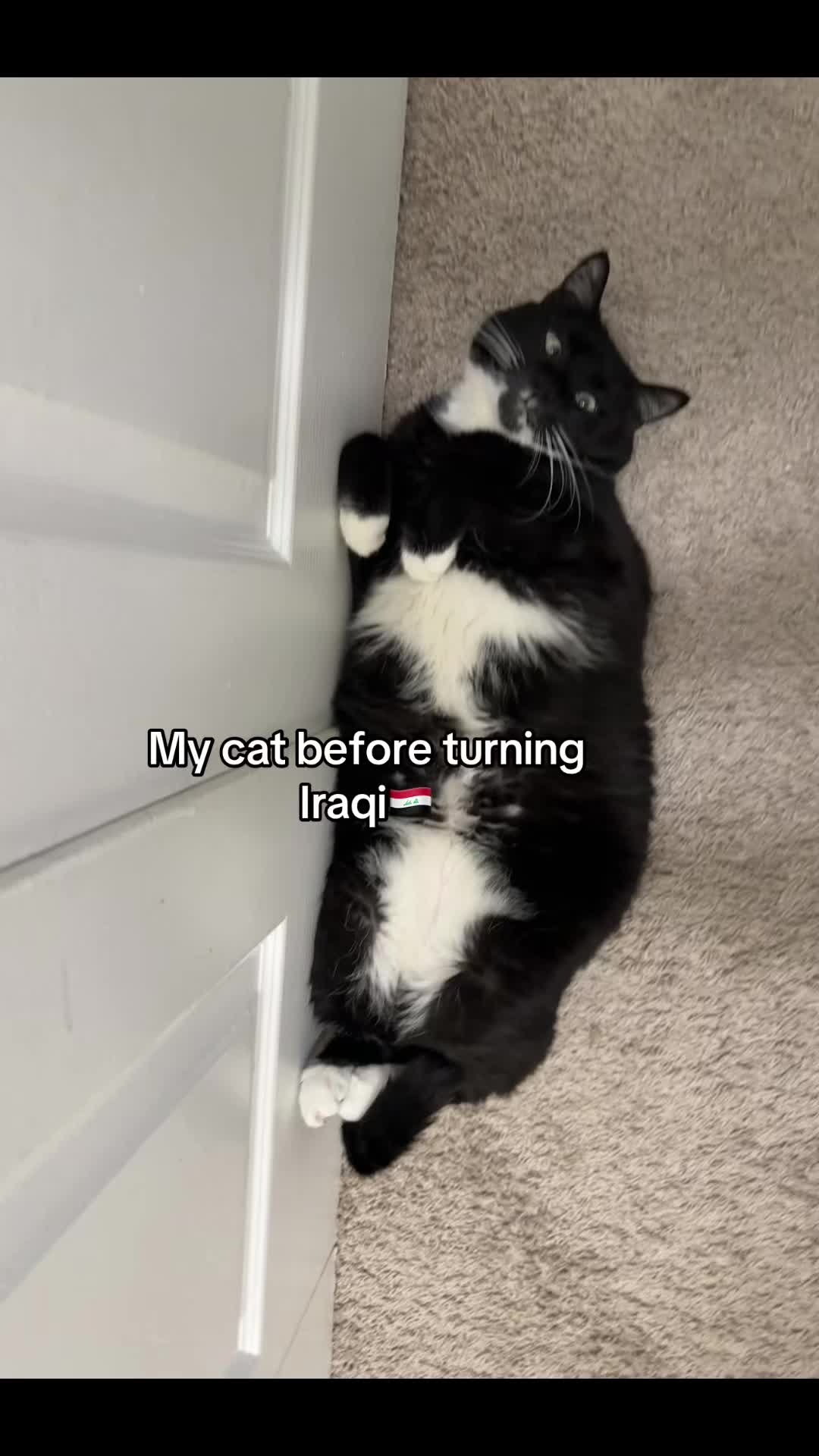@ن🌷