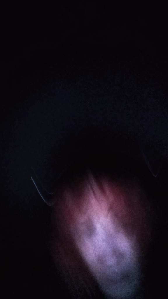 @𝒥ℴ𝓃𝓆𝓊𝒾𝓁𝓁ℯ