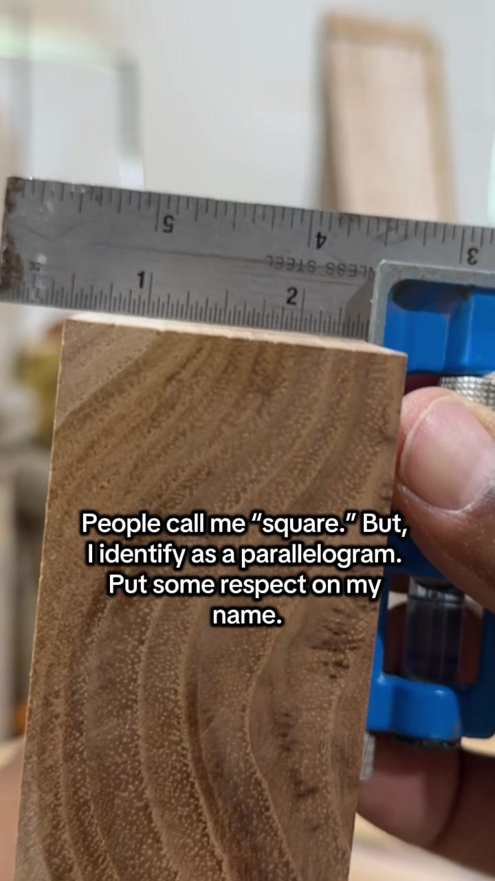 @Carpenter Ant