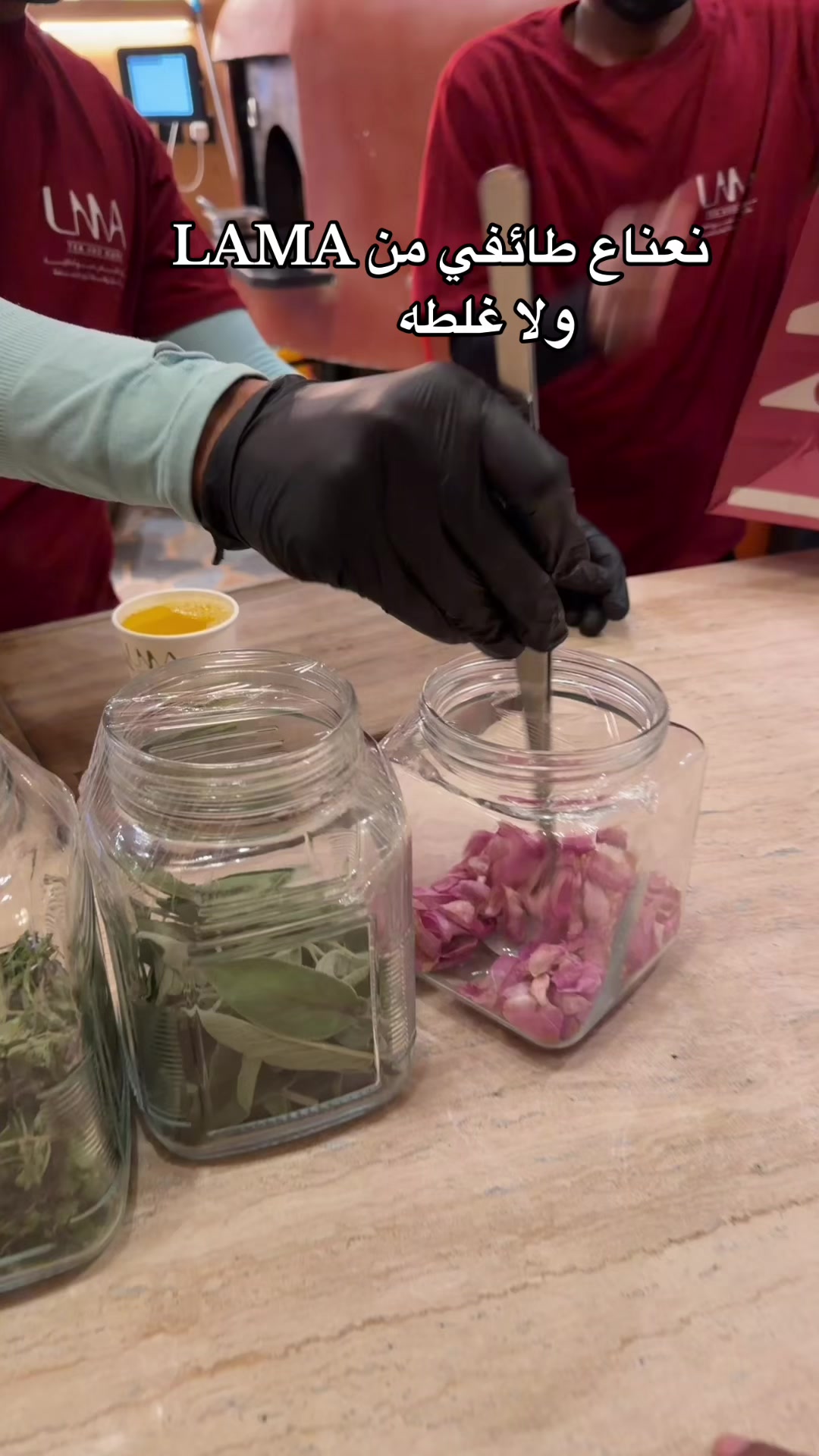 @نوره الشامان/تبوك/ موثوق