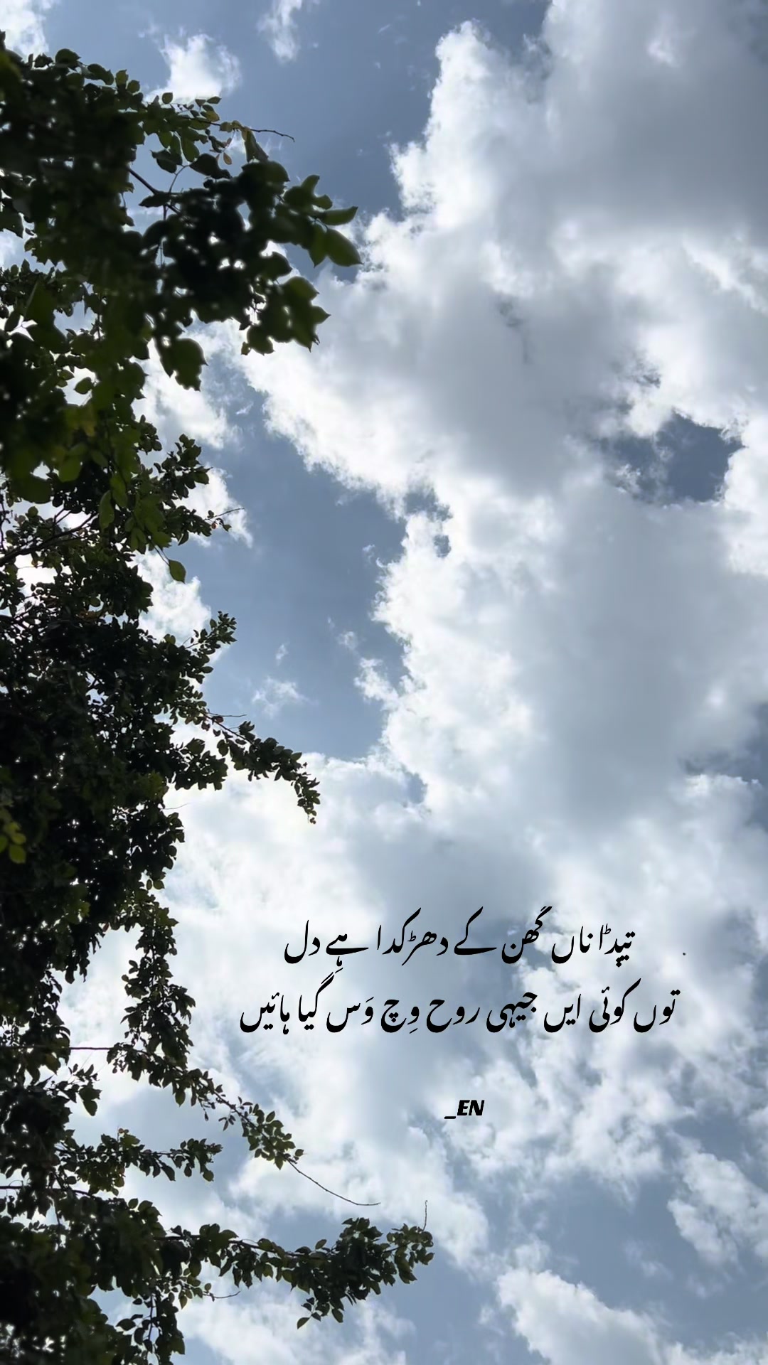 @Eman Niazi