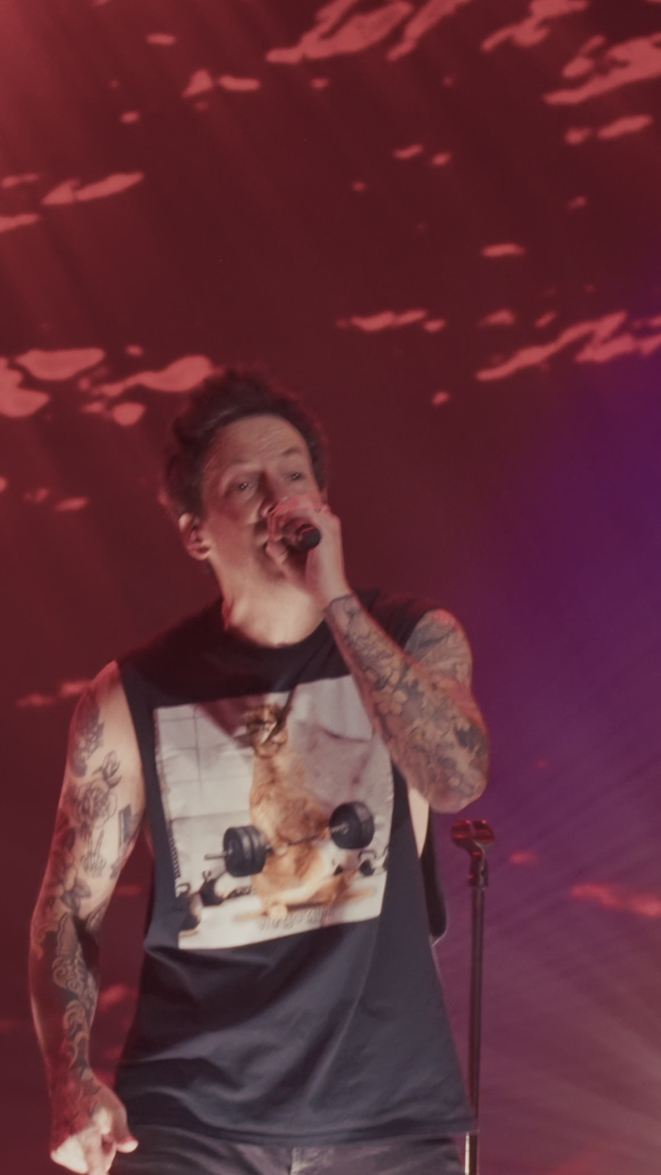 @Simple Plan