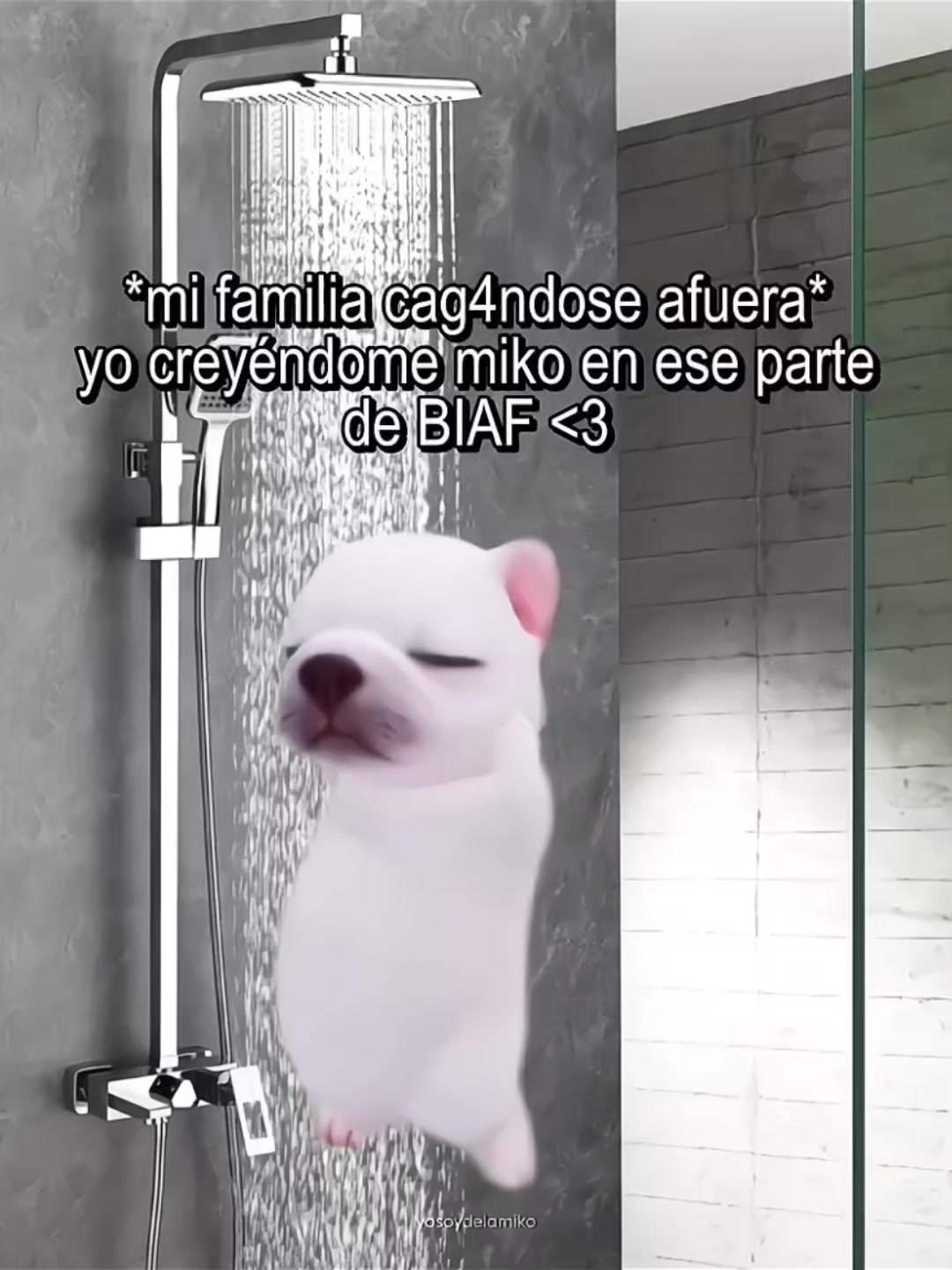 @mariel 🦂