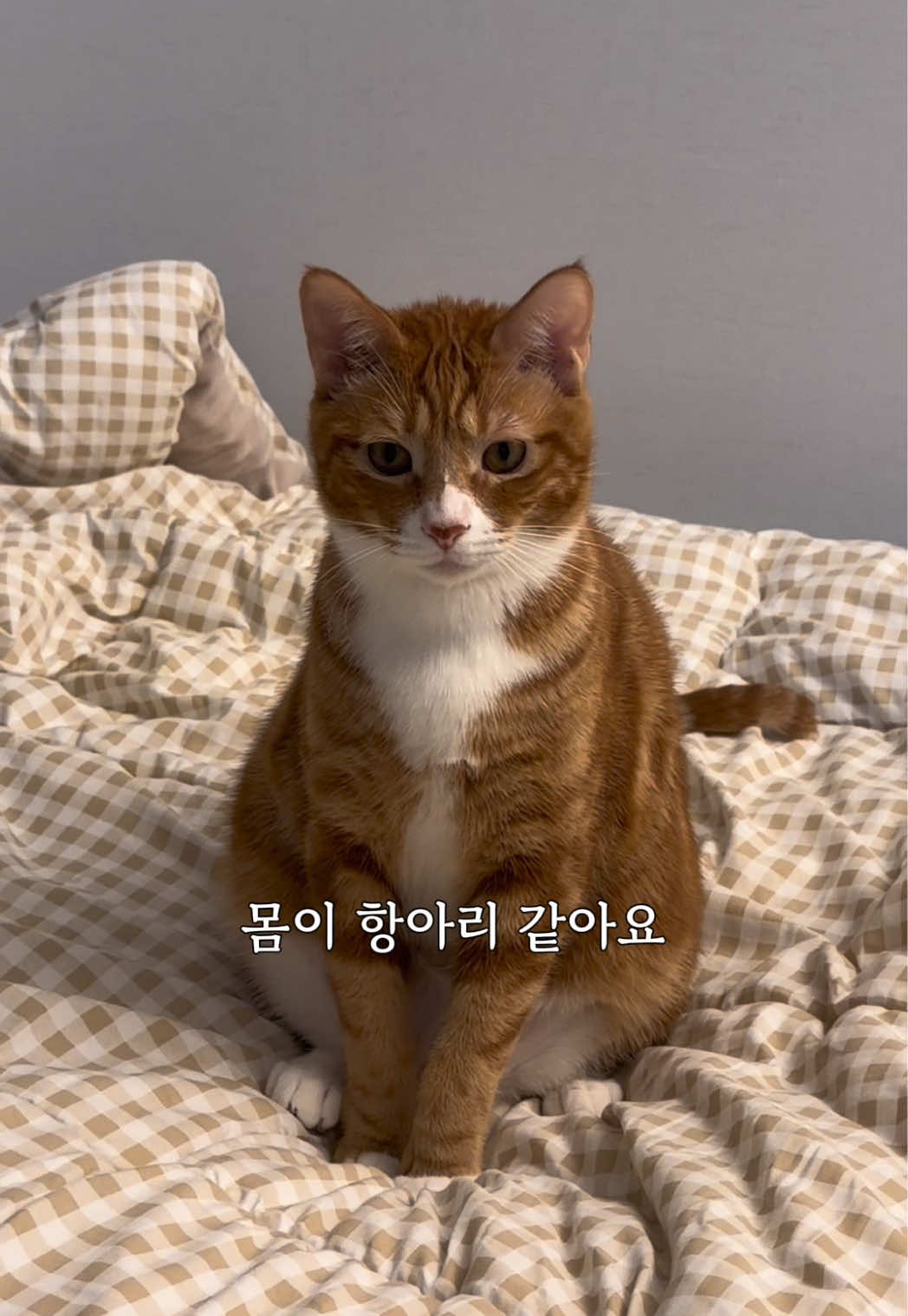 @뮤춘삼