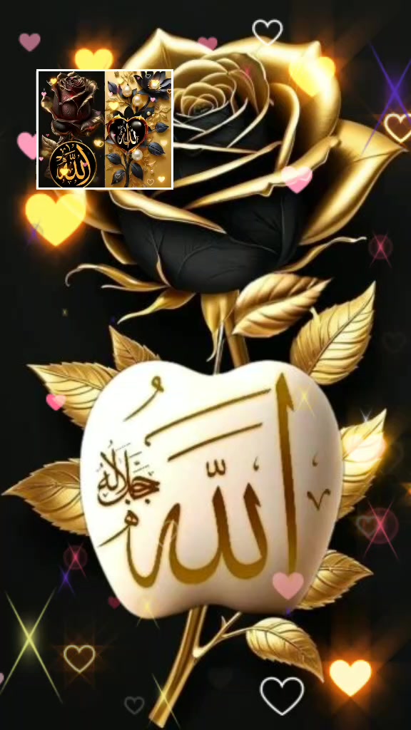 @Ariff Jani