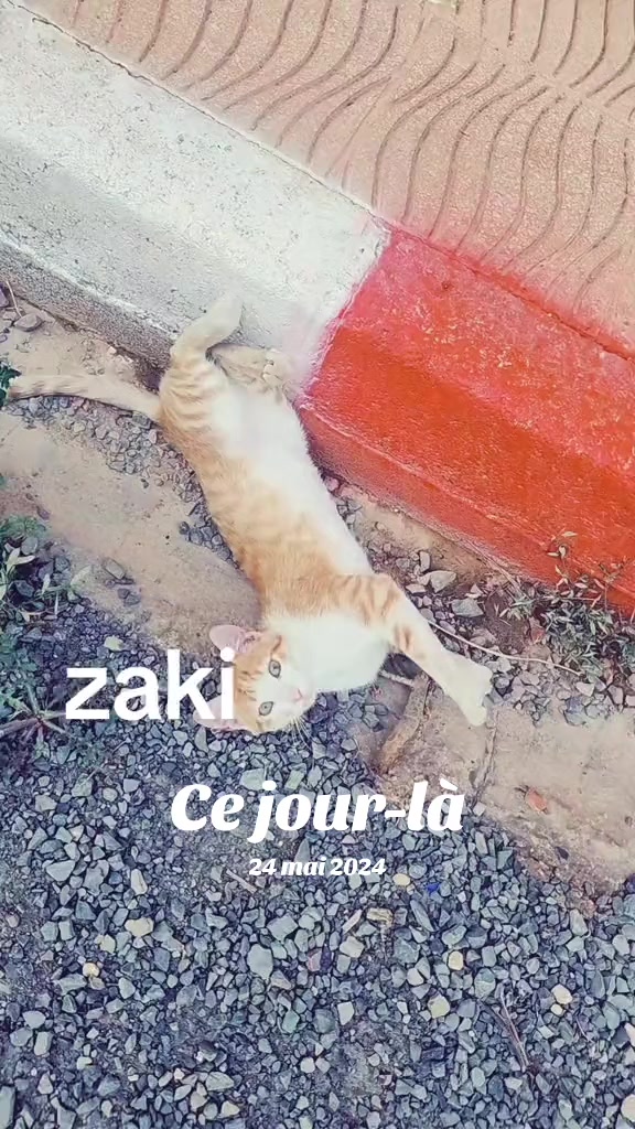 @Zaki Taibi758