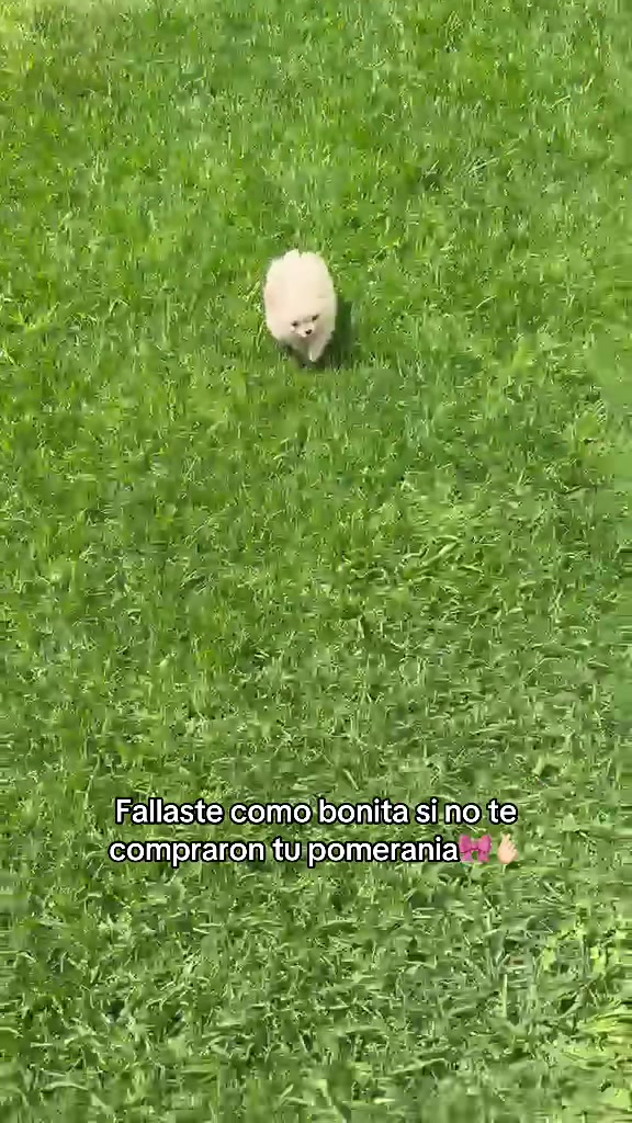 @Abril Guzmán