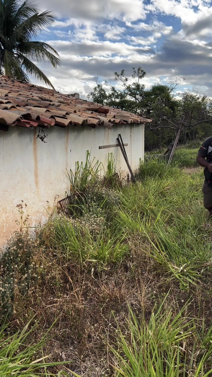 @Ad&atilde;o Oficial