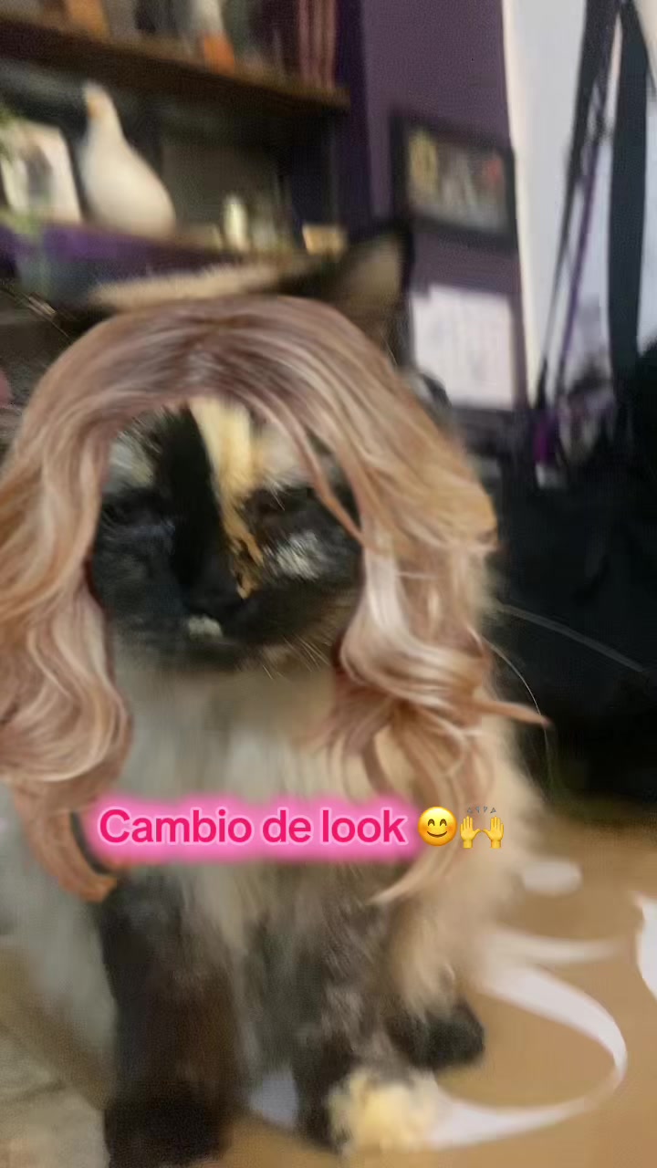 @𝔙𝔢𝔯𝔞 𝔏𝔉
