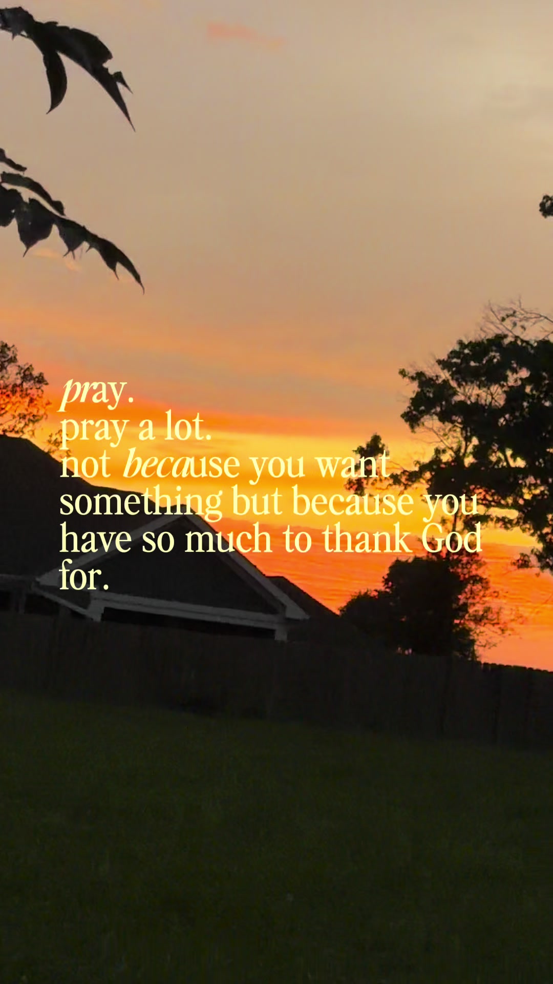 @Mama Tay