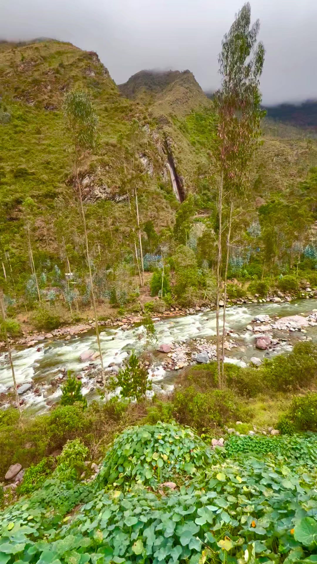 @Folklore peruano.