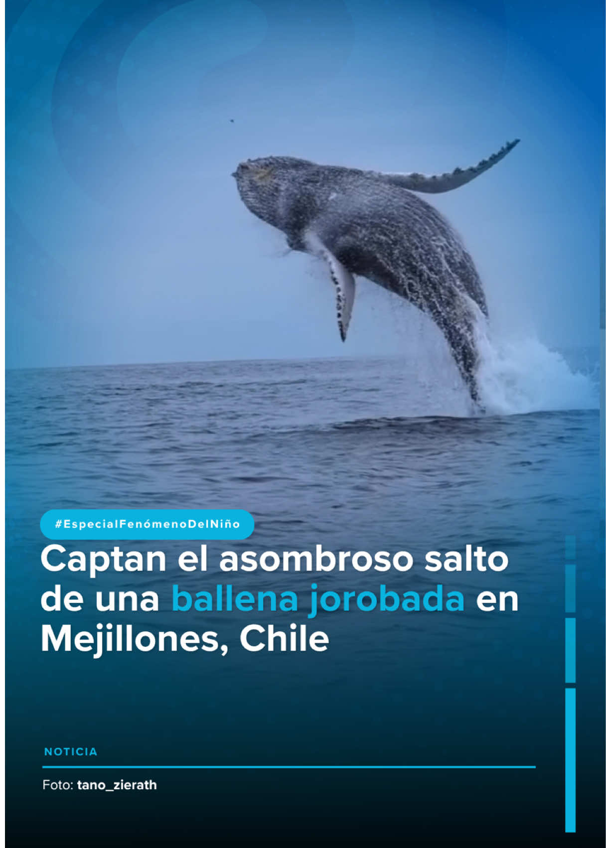 @RTVC Noticias