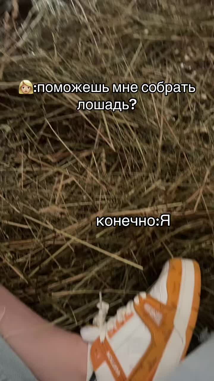 @Ли🐴
