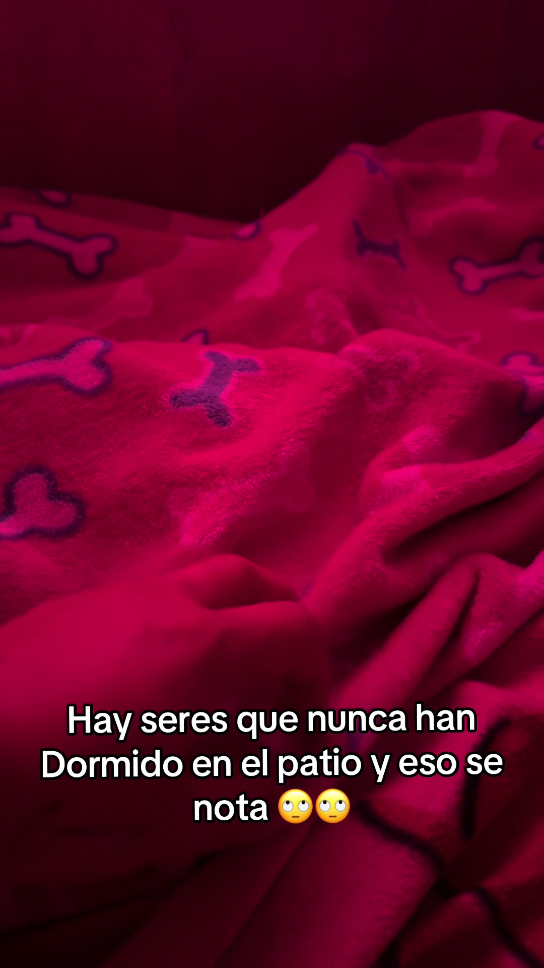 @Evelyn Velez