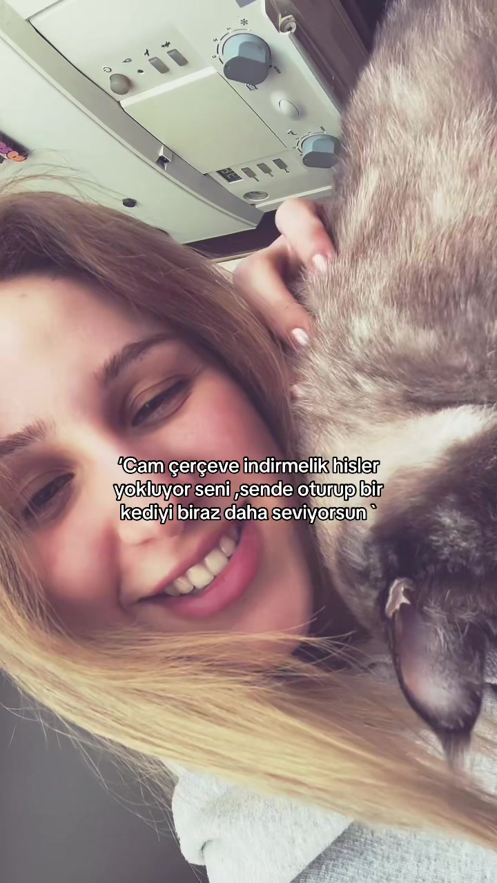 @nisanyzz✨🪩