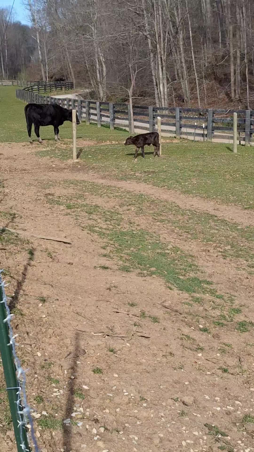 @Grand_Hill_Farm